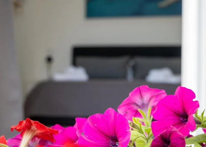Leonardo - Room, Pool & Restaurant B&B 산포카